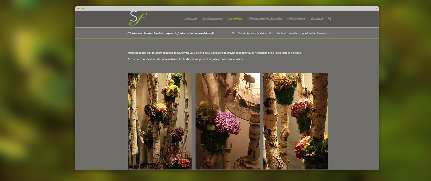 site-internet-symphonie-florale-2