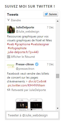 widget-twitter-réseaux-sociaux-julie-delporte-infographiste-montpellier