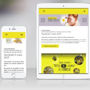 design-graphique-site-internet-journee-jaune-amfe-paris-responsive-design