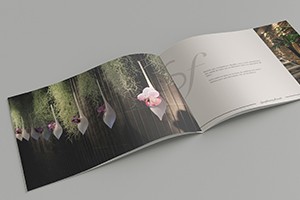 graphiste-freelance-montpellier-paris-brochure