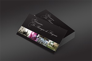 graphiste-freelance-montpellier-paris-cartes-de-visites